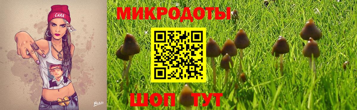Галлюциногенные грибы Psilocybine cubensis Обь